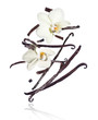 Dried vanilla sticks with flowers in the air on a white background