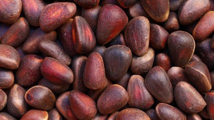 Poster - Cedar nuts in a brown shell rotates