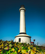 Point Arena Lighthouse California west coast