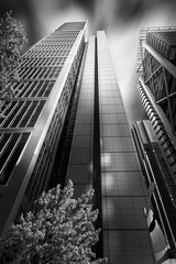 Wall Mural - Black and white perspective of skyscrapers in Chifley Square, a major commercial and financial center in Sydney CBD, Australia. Light and shadows created by moving clouds.