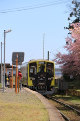 Wall Mural - 電車