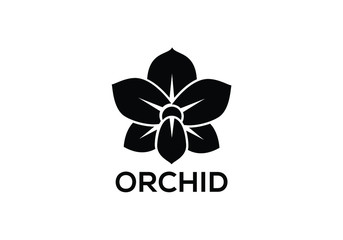 orchid vector flower isolated on white background