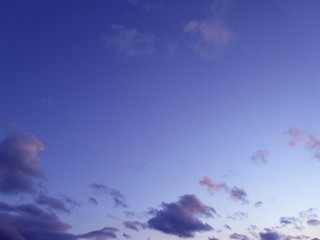 Wall Mural - evening clear sky with small fluffy clouds. gently purple pink sunset.