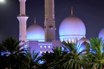 Sticker - mosque in abu dhabi uae