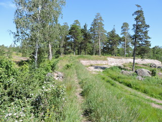 Poster - path in the park, Kotka, Finland