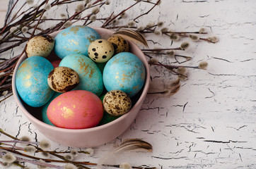 Easter colorful eggs in the plate and  willow branch on white background. Easter holiday postcard concept. Copy space for text.