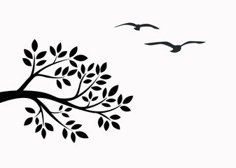 black tree brunch with bird isolated on white background.