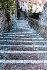 Wall Mural - stairs in park