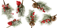 Christmas Tree Branch With Snow, Red Berries And Cones Isolated On White Background As Set Of Details For Winter Design
