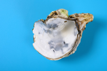 angle view oyster shell on blue background