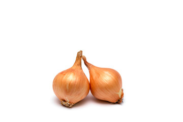 two fresh bulbs of onion on a white background