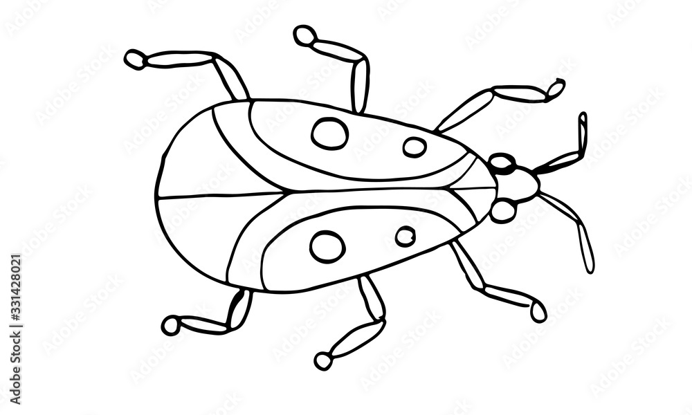 Danger Insect vector set. Web sign kit of line bugs. Beetle pictogram ...