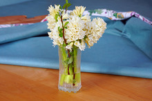 Bouquet Of Fragrant Cream White Hyacinth Flowers In A Vase