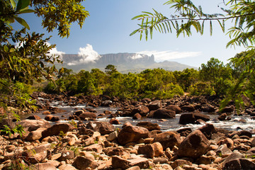 Wall Mural - View of Roraima table mountain, La Gran Sabana, Canaima National Park, Venezuela