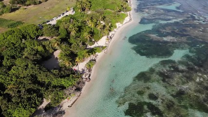 Sticker - Guadeloupe sandy beach drone view. Caribbean vacation landscape. Bois Jolan Beach (Plage de Bois Jolan).