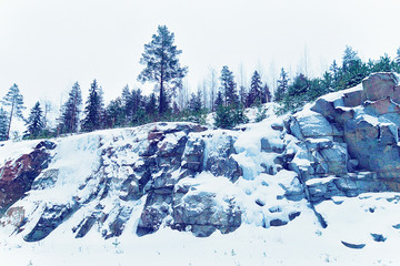 Wall Mural - Snowy forest along road of winter Rovaniemi