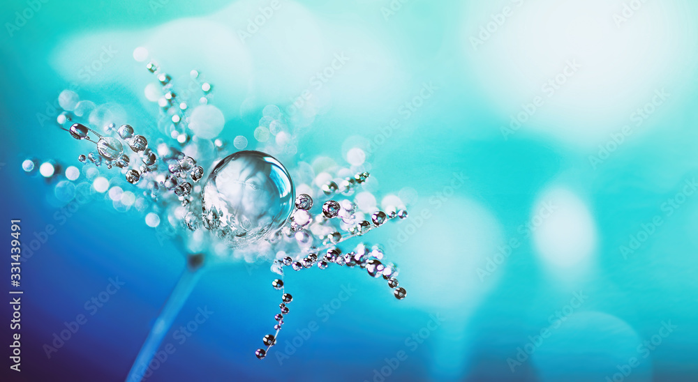 Beautiful big and many small drops of water on dandelion macro flower. Sparkling droplets water. Beautiful bright blue background. Amazing colorful artistic image of nature. - obrazy, fototapety, plakaty 