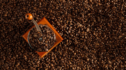 Sticker - Brown coffee  beans and coffee grinder seen from above. Coffee with white background. Copy space. Space for advertising products.