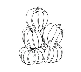 Wall Mural - Pumpkins lying downhill in line art style.