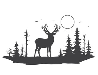 deer in forest