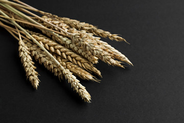 Natural,dry ears of wheat on the black surface with copy space.