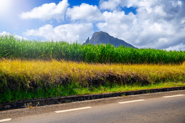 Canvas Print - Beautiful road across the green countryside