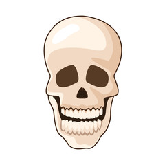 Sticker - head skull bone isolated icon