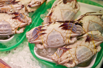 Wall Mural - crab in the market