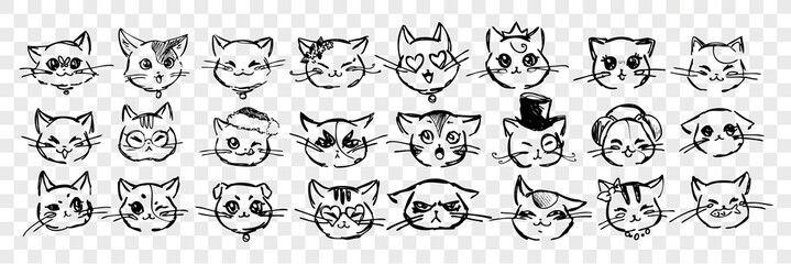 Wall Mural - Hand drawn cats emotions and facial expressions set