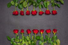 Border Made Of Fresh Red Rose Flowers On Black Background. Floral Composition, Mourning Card For Event, Mock Up. Mourning, Condolence, Commemoration Concept. Flat Lay, Top View