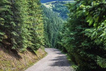 Sticker - Path to Cascada Cailor - waterfall located in Rodna Mountains national park in Romania