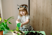 Little Baby Girl Gardener With Plants In The Room At Home. Transplants Flowers. Watering And Caring For Indoor Plants. . Gardening. Care Of Home Plants