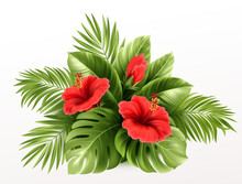 Exotic Tropical Hibiscus Flowers And Monstera Leaves, Palm Leaves Of Tropical Plants Isolated On White Background. Vector Illustration