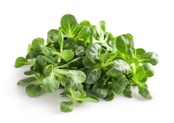 Sticker - Corn salad, lamb's lettuce isolated on white background