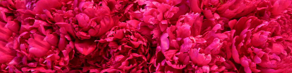 Naklejka stylowy kobieta piwonia bukiet kwiat