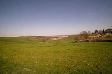 green meadow under the blue sky