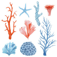 Beautiful Set With Underwater Watercolor Sea Life Stock Illustrations.