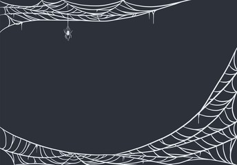 Wall Mural - Spider web for cards and background for Halloween