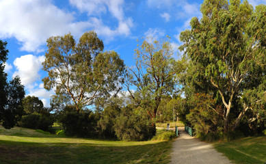 Park in Broadmeadows Melbourne Victoria surrounded by green lush trees rivers and lakes