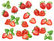 Strawberry set watercolor isolated on white background