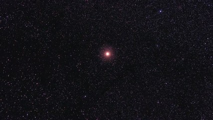 Wall Mural - The orange star Betelgeuse in space