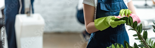 Fotografía cropped view of cleaner in overalls cleaning plant in office, panoramic shot