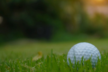 Wall Mural - Golf ball on green in beautiful golf course at sunset background.