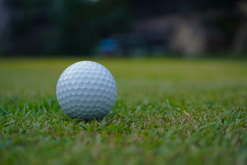 Wall Mural - Golf ball on green in beautiful golf course at sunset background.