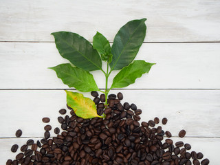 Wall Mural - Roasted coffee beans with coffee leaves.