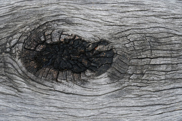 old wood texture background