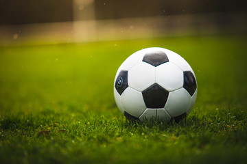 Classic soccer ball in sunset  with typical black and white pattern, placed on stadium turf. Traditional football ball on the green grass lawn with copy space.