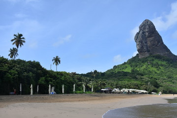 Wall Mural - f noronha