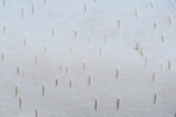 Close up of birch tree bark surface details. Natural background or   texture