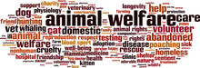 Animal Welfare Word Cloud